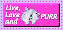 cat animation